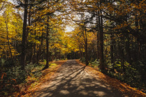 travel & grieving: where do we go from here?