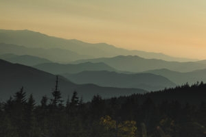 Vampire Tales From Around the World