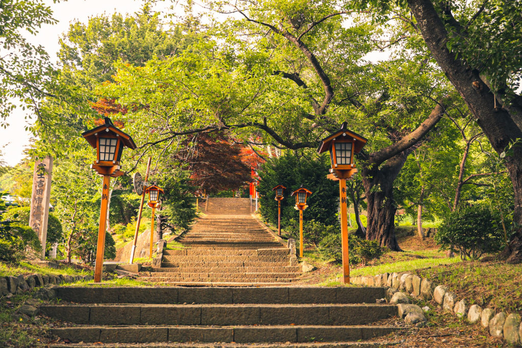 Chureito Pagoda & Mt. Fuji: A Doable Day Trip From Tokyo