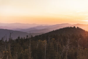 5 Tips to Strengthen Your Writing: An Introduction