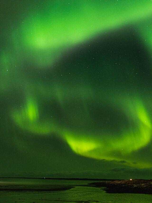 Tabitha Bear Homepage