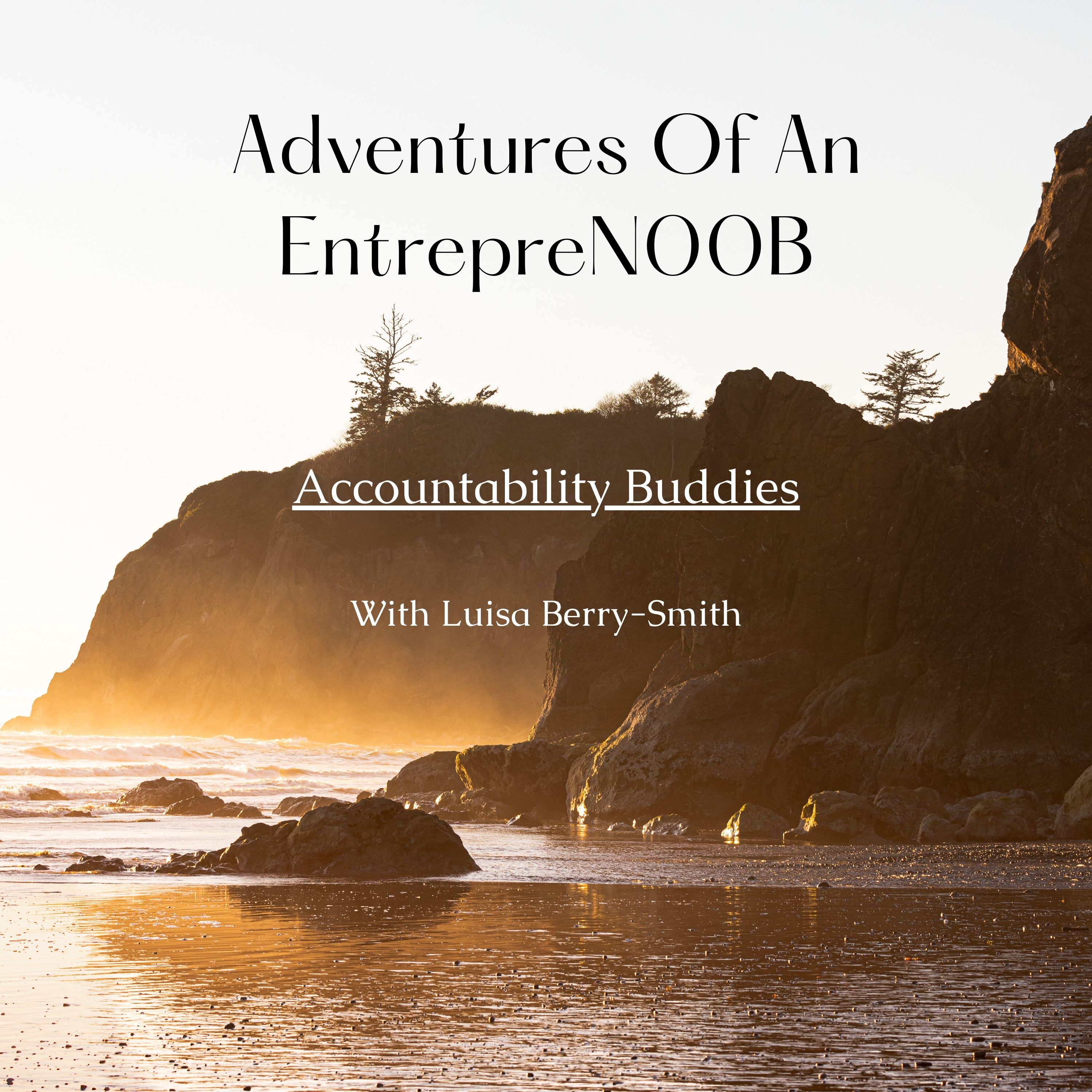 Adventures Of An EntrepreN00B S1E1