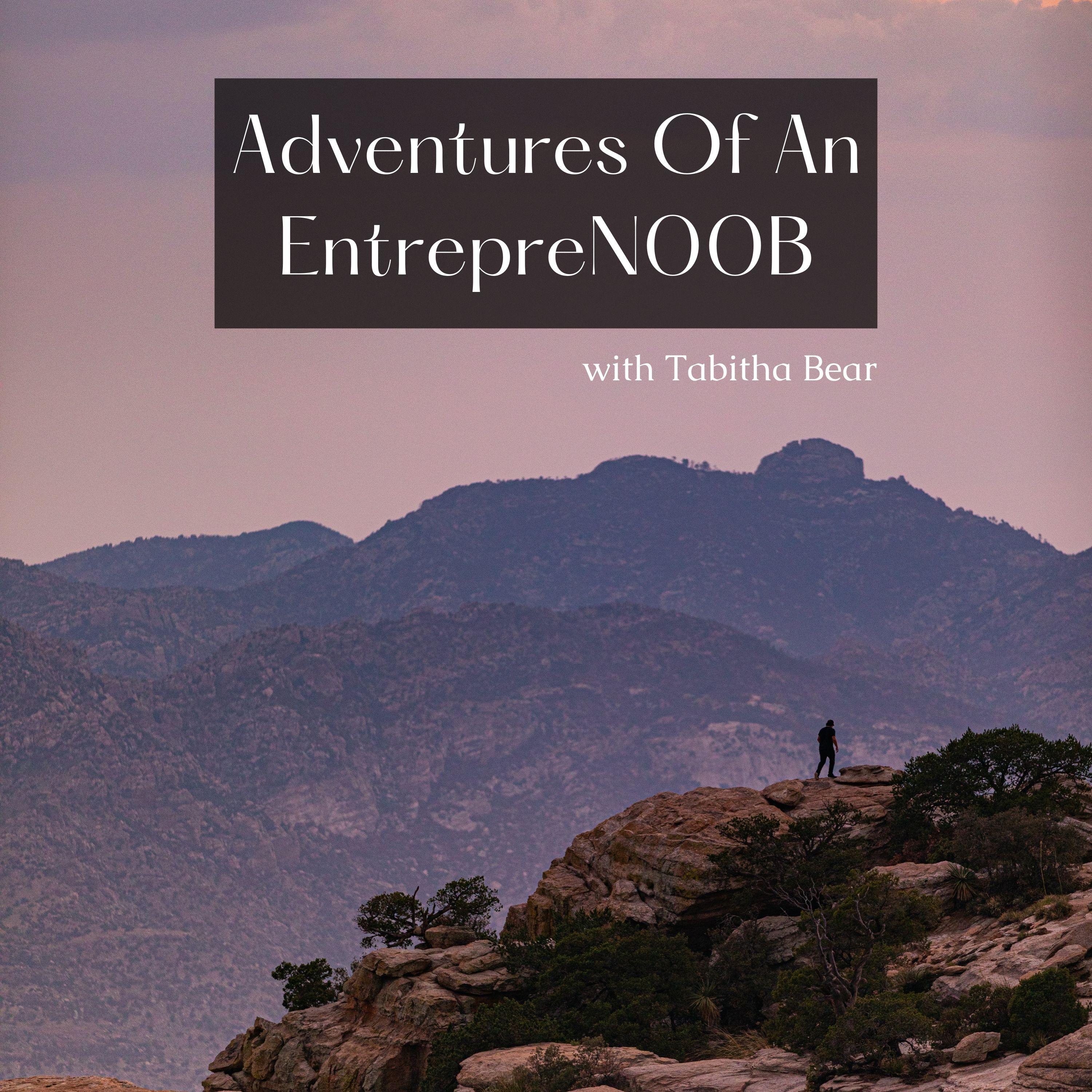 Adventures Of An Entrepren00b