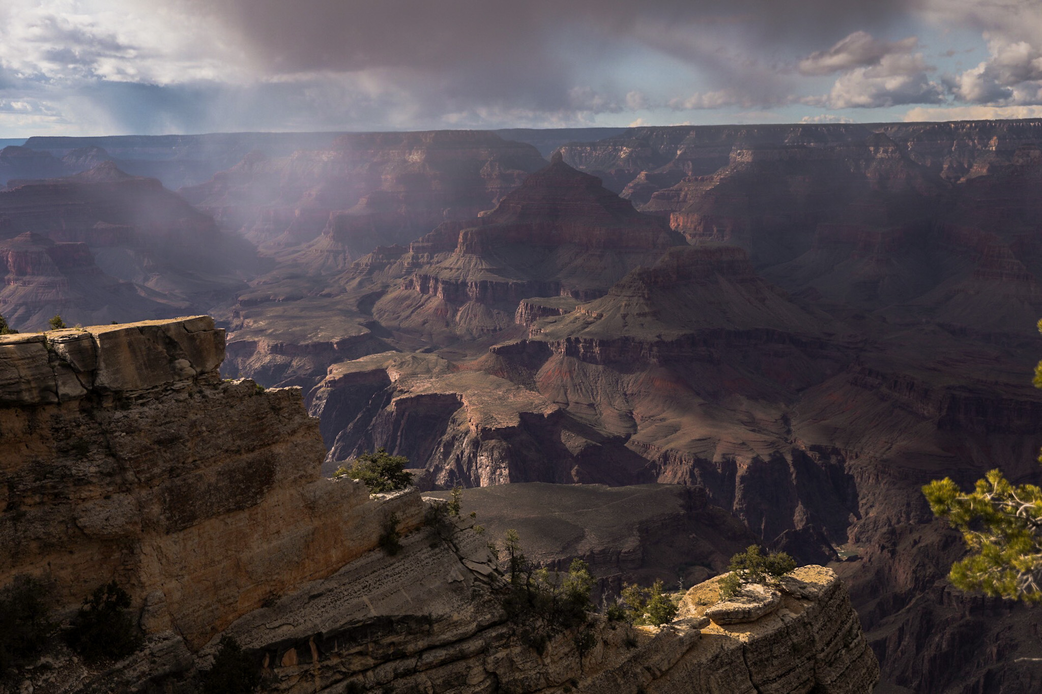 Grand Canyon - Tabitha Bear