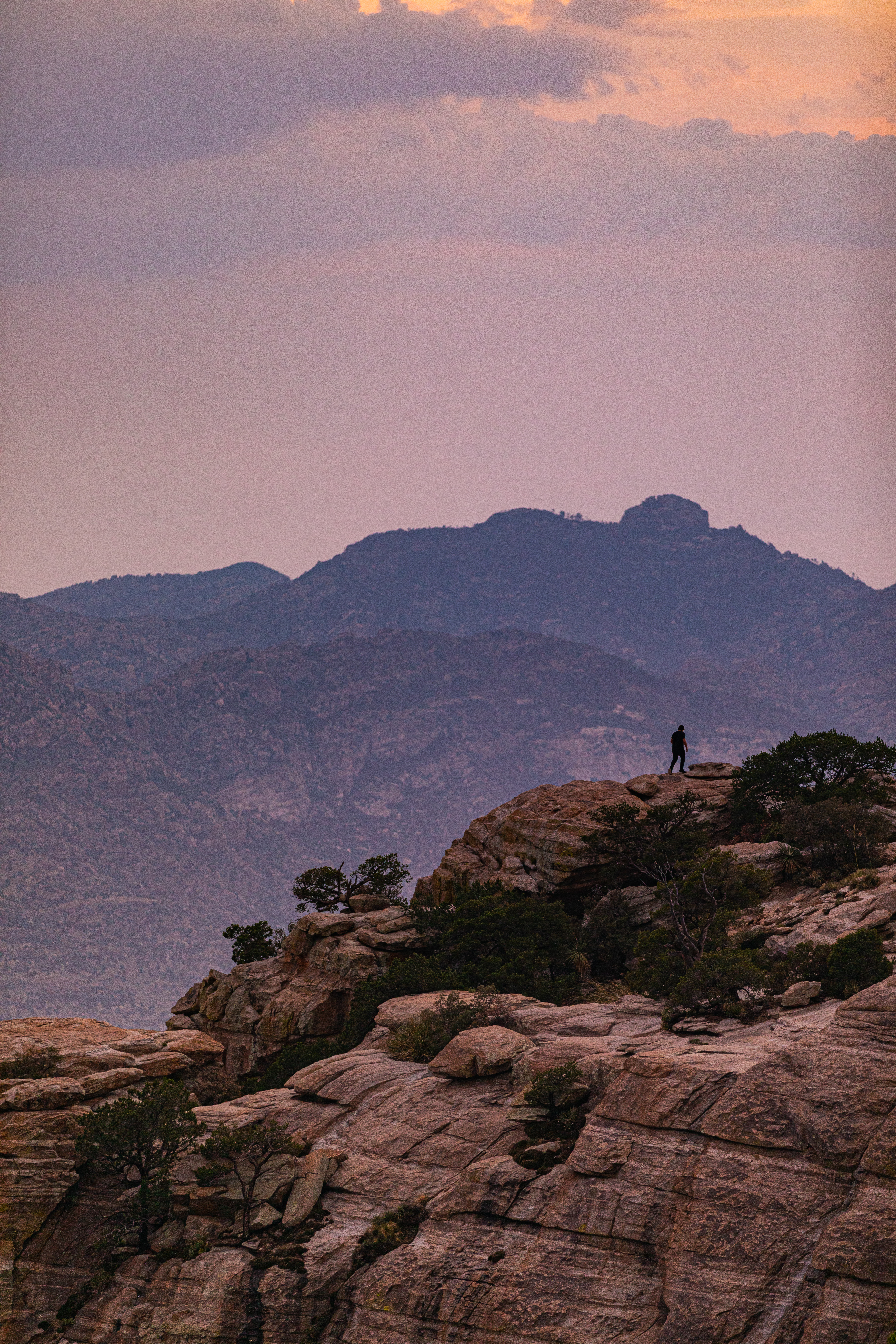 Mt Lemmon