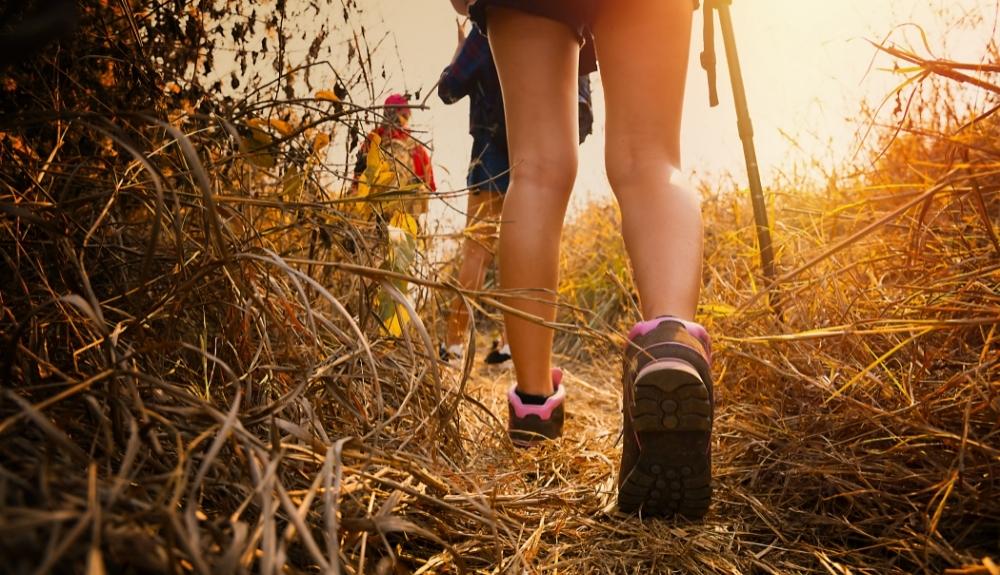 Legs of hikers in the foreground, along with some grassy terrain. Hiking poles also visible, emphasis on Gadgets for Hikers blog post information.