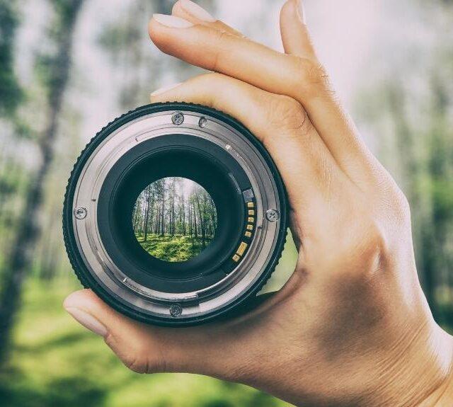 Blurred forest in the background, with a lens and hand showing a sharp forest in the foreground to help emphasize the blog topic which is the best canon lens for landscape photography.