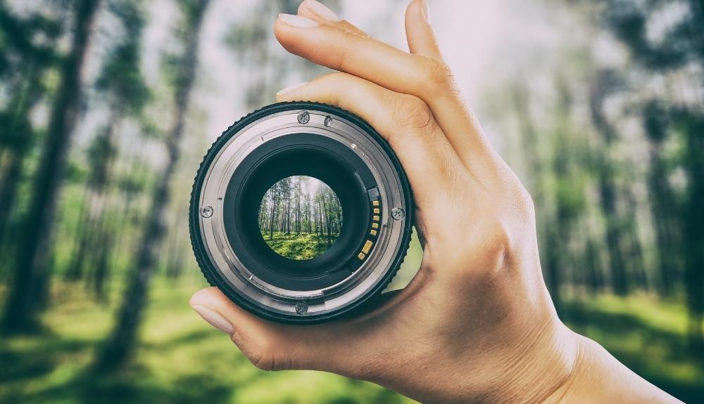 Blurred forest in the background, with a lens and hand showing a sharp forest in the foreground to help emphasize the blog topic which is the best canon lens for landscape photography.